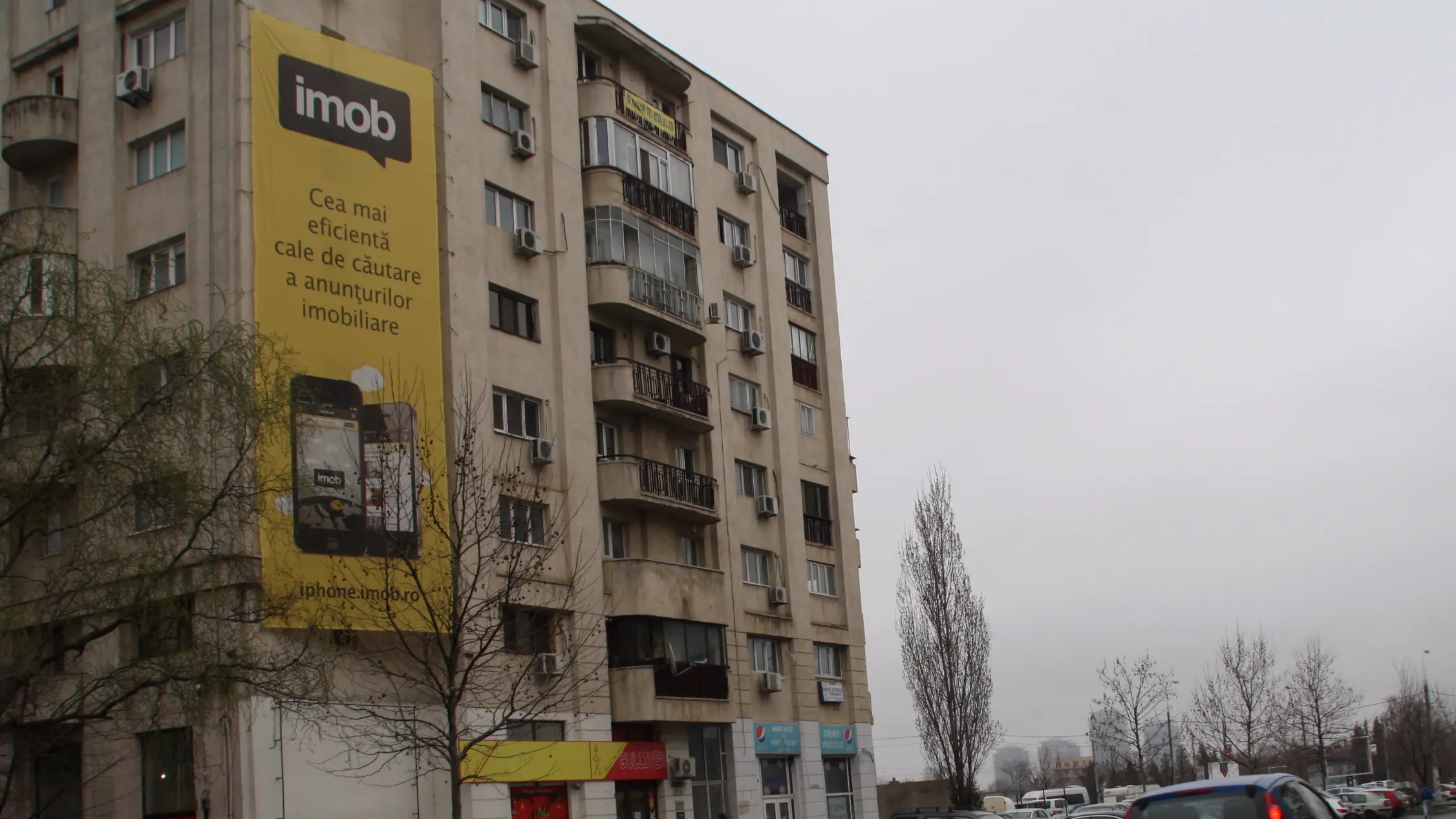 Locatie mesh Mircea Voda